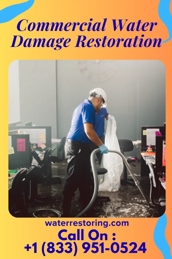 Commercial Water Damage Restoration in Oppelo, AR
