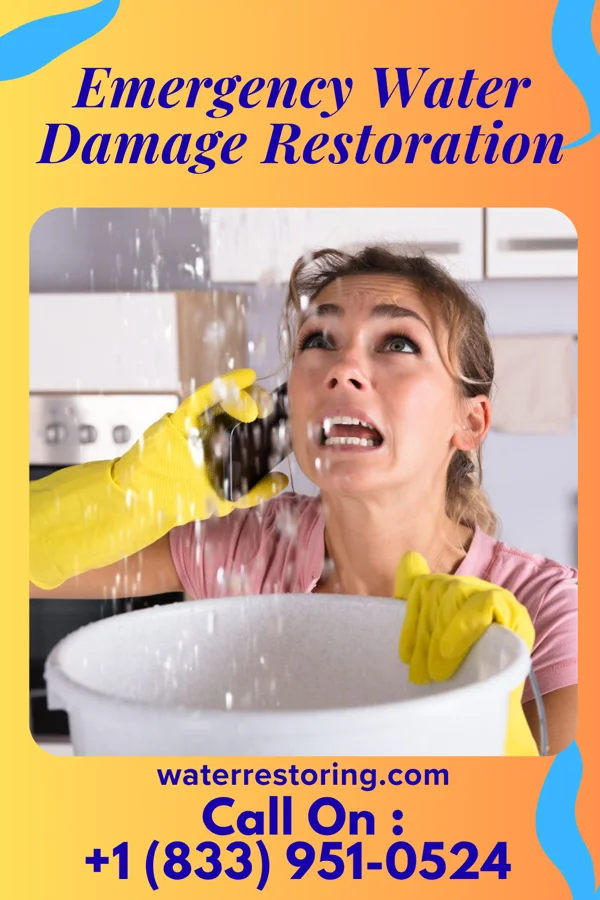 Emergency Water Damage Restoration in Oppelo, AR